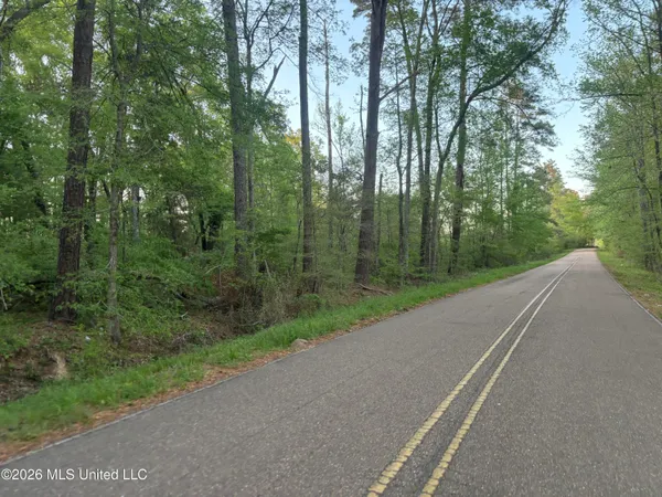$479,000 | 0 Newman Road, Edwards, MS 39066