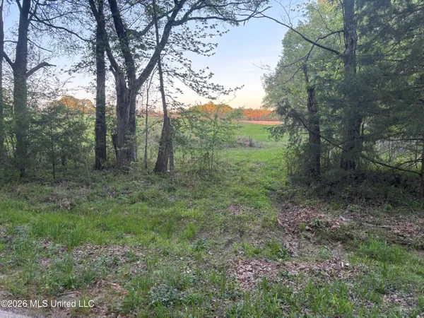 $479,000 | 0 Newman Road, Edwards, MS 39066