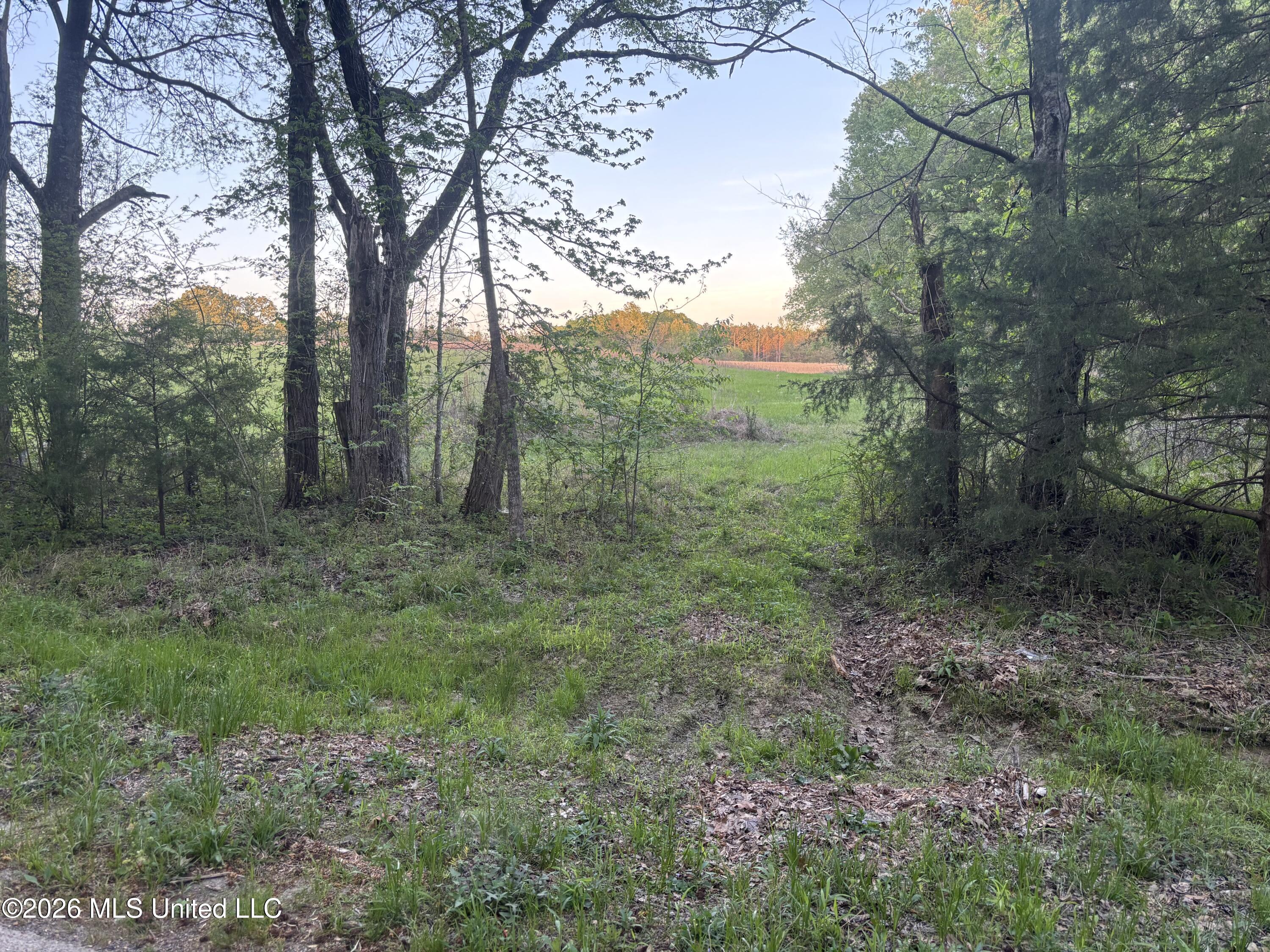 0 Newman Road Edwards, MS 39066 - Photo 14 of 18 IMG_3346
