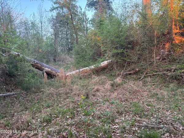 $479,000 | 0 Newman Road, Edwards, MS 39066