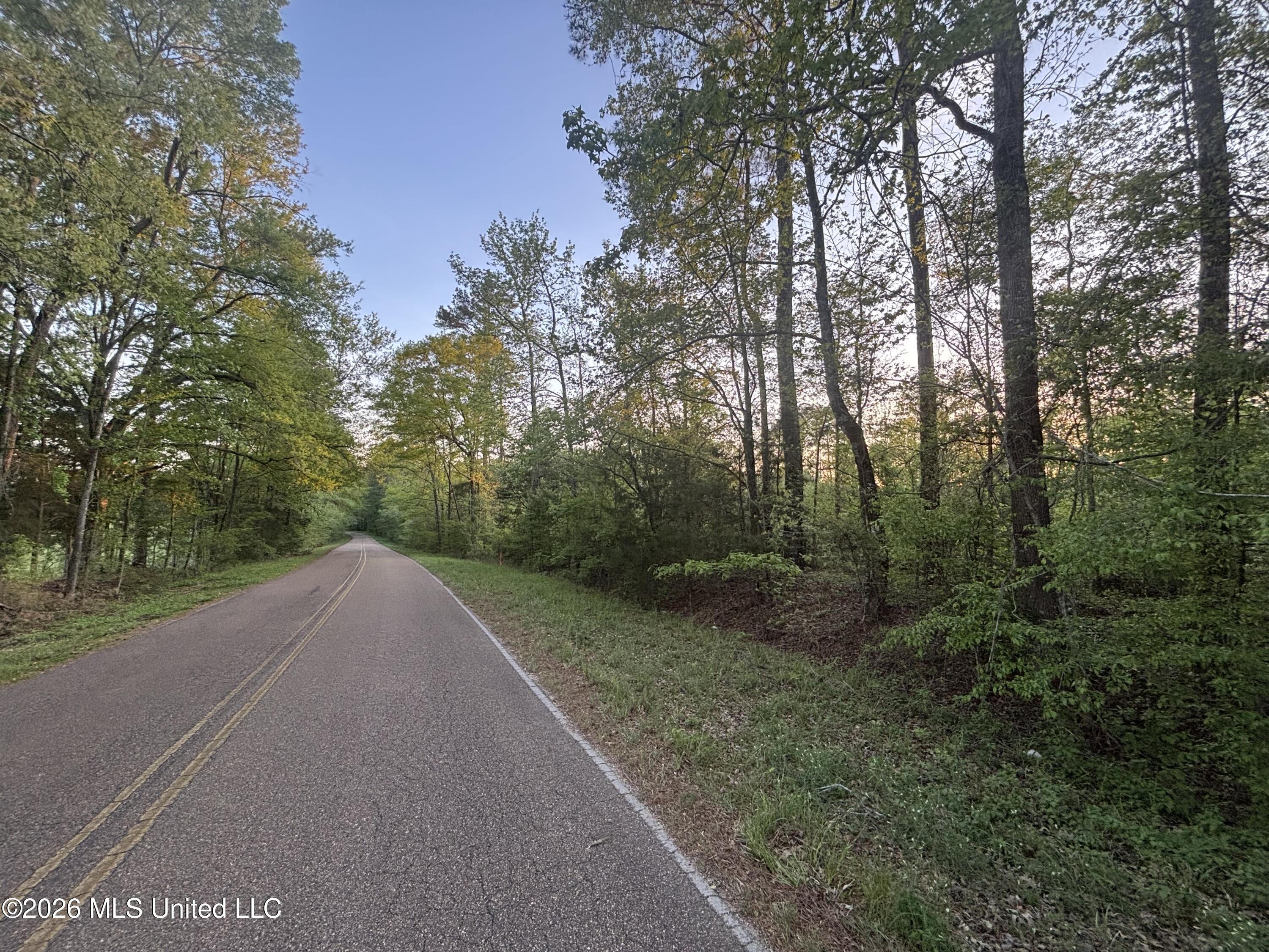 0 Newman Road Edwards, MS 39066 - Photo 16 of 18 IMG_3342