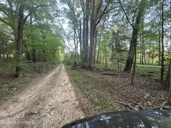 $479,000 | 0 Newman Road, Edwards, MS 39066