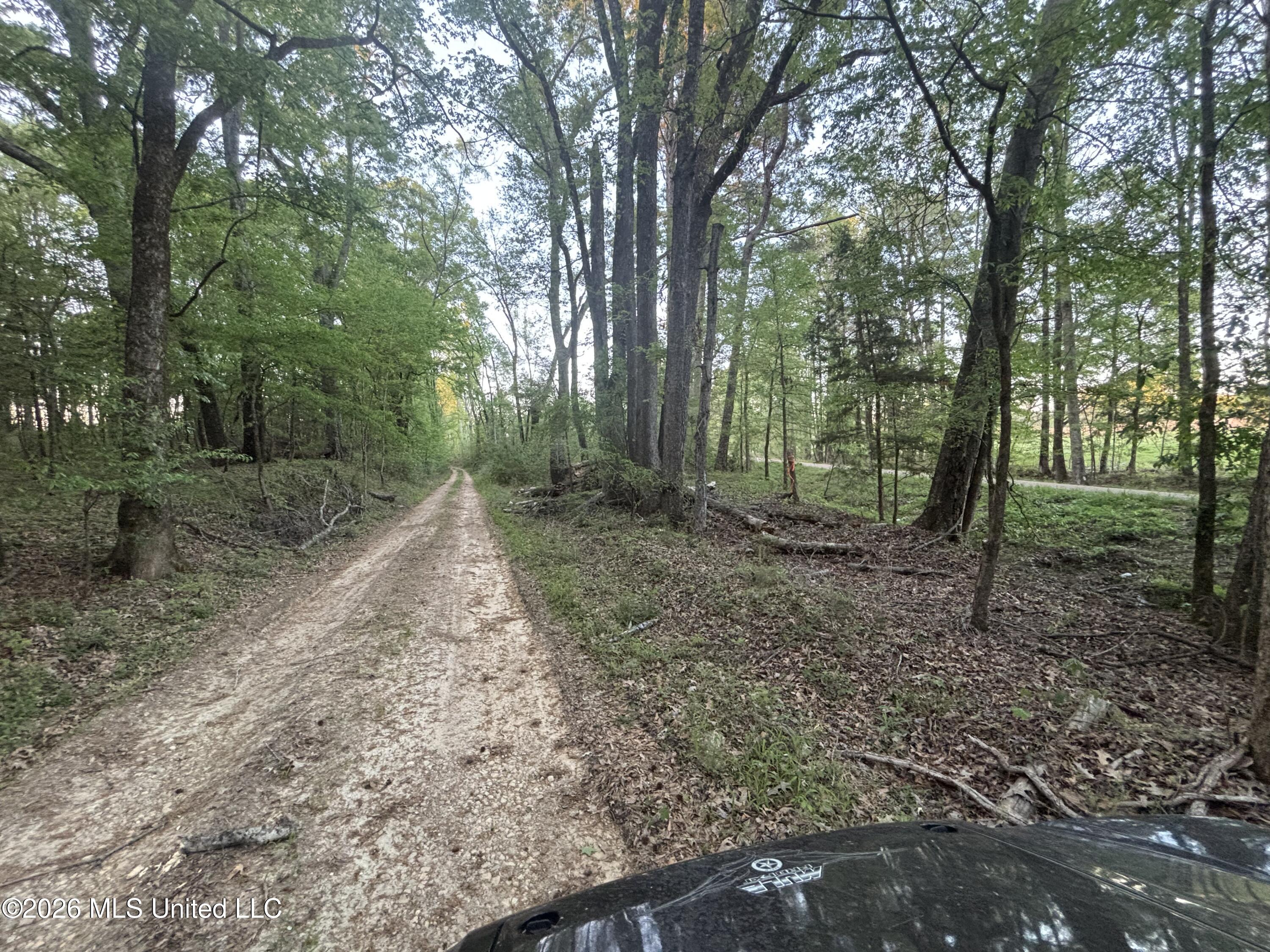 0 Newman Road Edwards, MS 39066 - Photo 17 of 18 IMG_3343