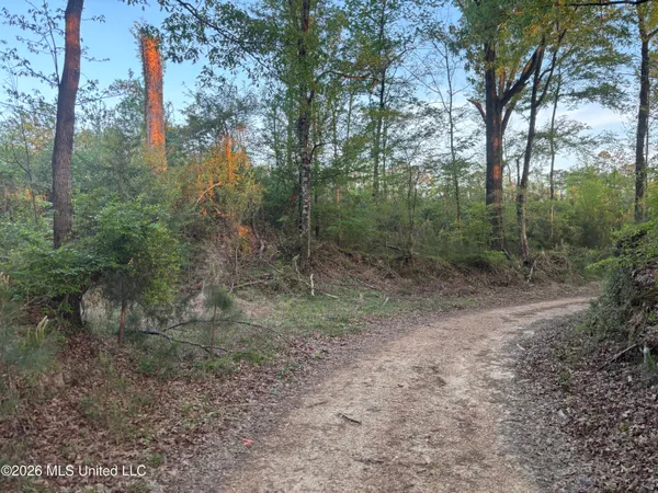 $479,000 | 0 Newman Road, Edwards, MS 39066