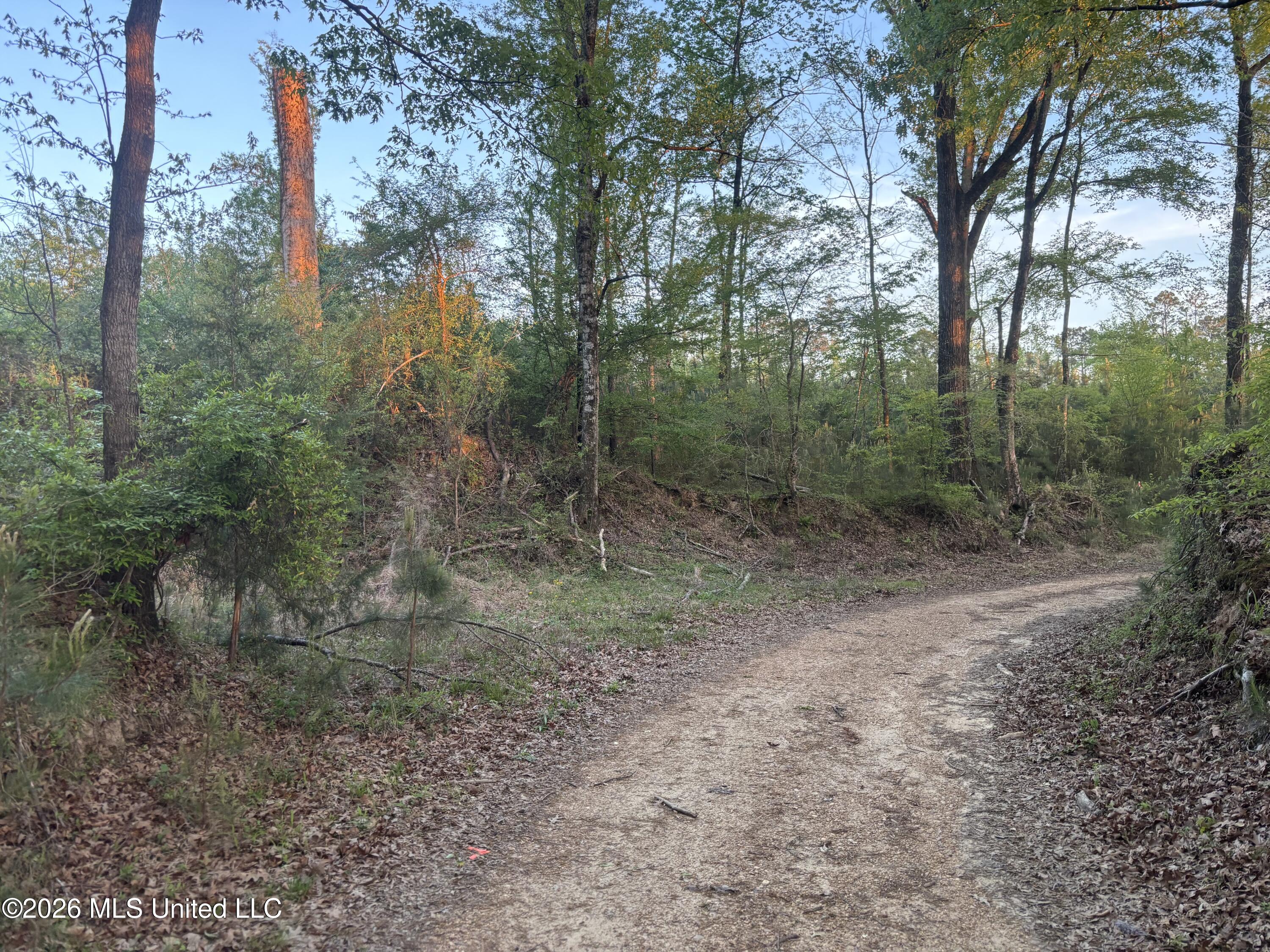 0 Newman Road Edwards, MS 39066 - Photo 18 of 18 IMG_3344