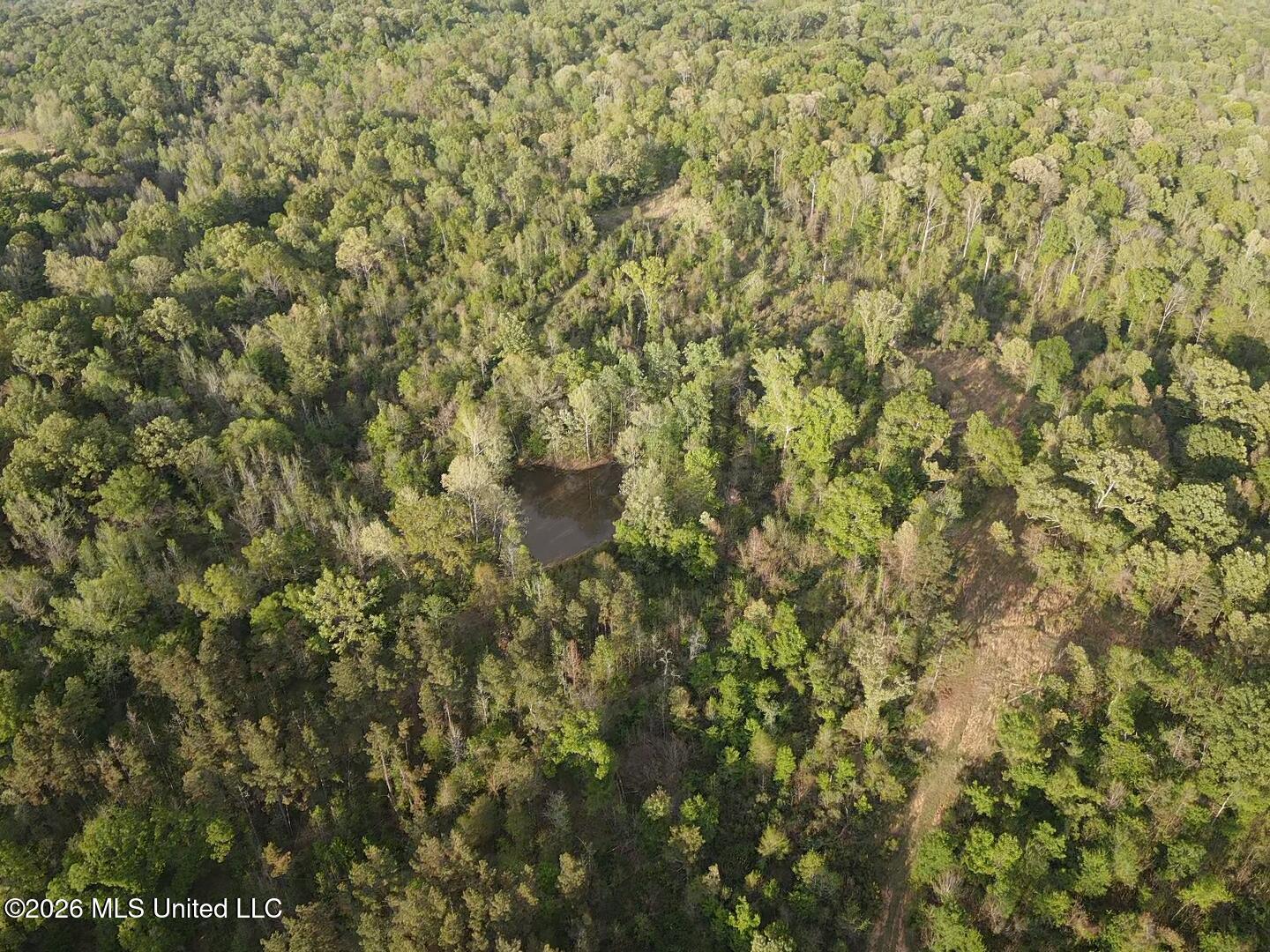 0 Newman Road Edwards, MS 39066 - Photo 2 of 18 2026-03-30-18-09-18-994