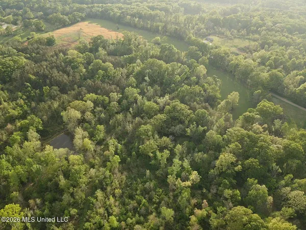 $479,000 | 0 Newman Road, Edwards, MS 39066