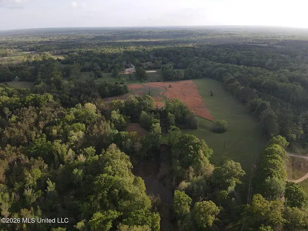 $479,000 | 0 Newman Road, Edwards, MS 39066