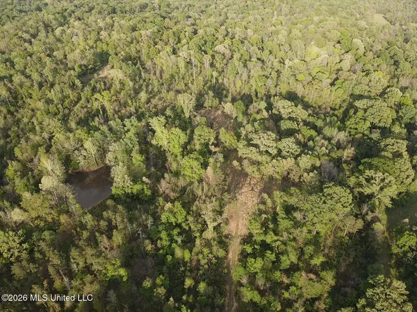 $479,000 | 0 Newman Road, Edwards, MS 39066