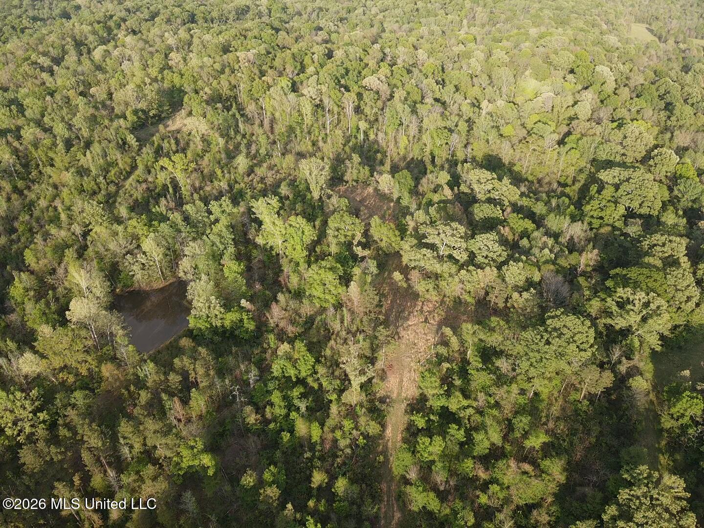 0 Newman Road Edwards, MS 39066 - Photo 6 of 18 2026-03-30-18-09-21-626