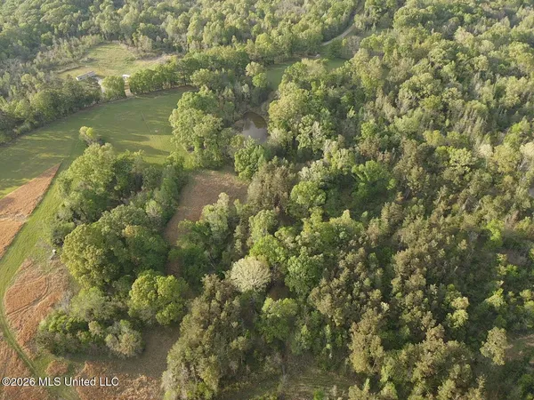$479,000 | 0 Newman Road, Edwards, MS 39066