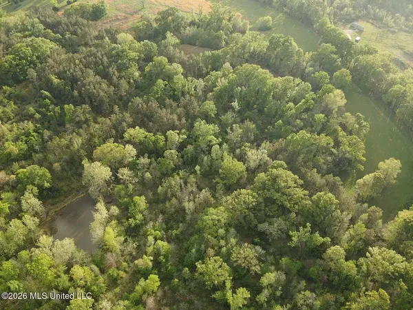 $479,000 | 0 Newman Road, Edwards, MS 39066