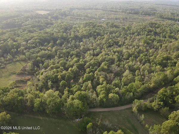 $479,000 | 0 Newman Road, Edwards, MS 39066