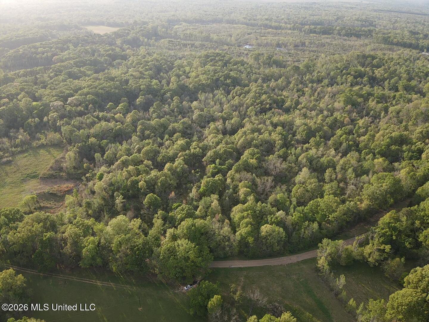 0 Newman Road Edwards, MS 39066 - Photo 9 of 18 2026-03-30-18-11-29-050