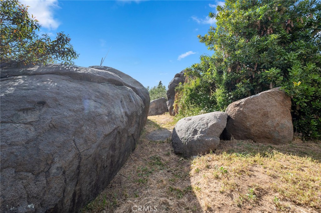 2631 Big Wagon Road Alpine, CA 91901 - Photo 37 of 49 a view of a outdoor space with a tree