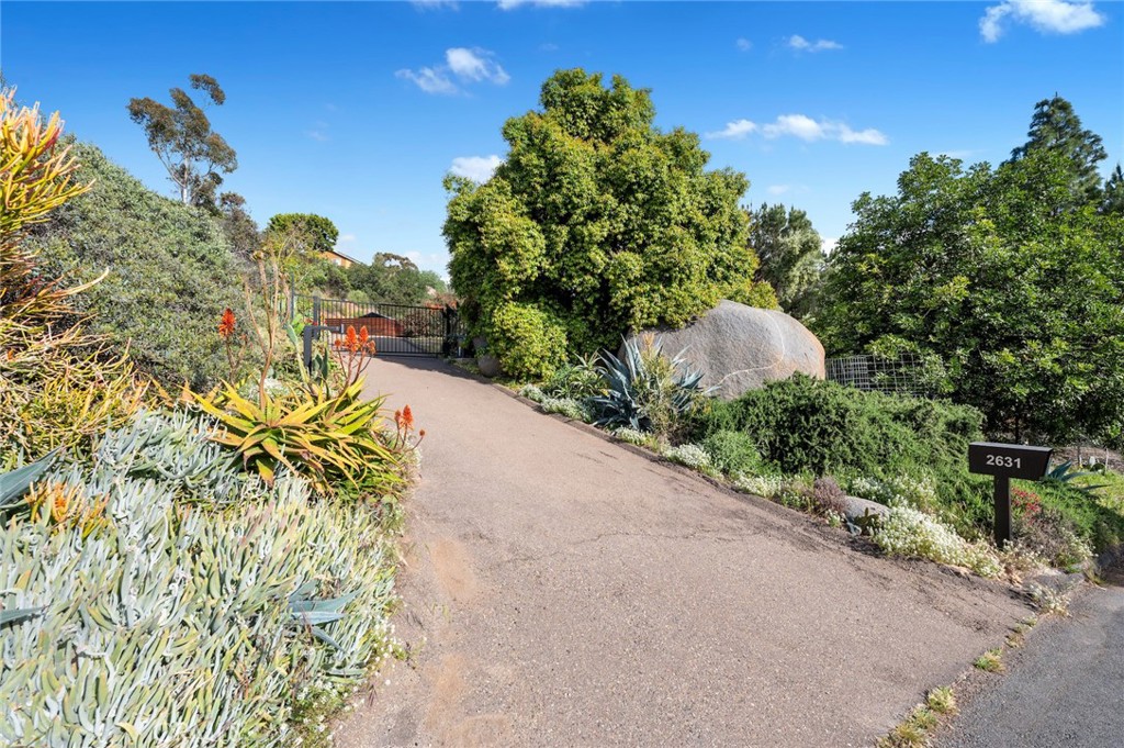 2631 Big Wagon Road Alpine, CA 91901 - Photo 4 of 49 a view of a garden with plants