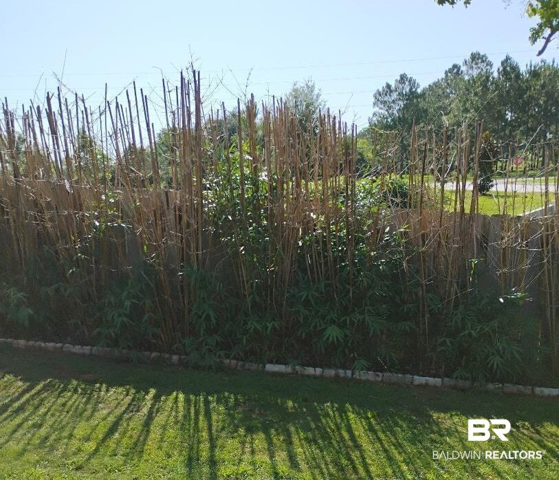 1030 Crown Walk Drive Foley, AL 36535 - Photo 37 of 40 View of green lawn