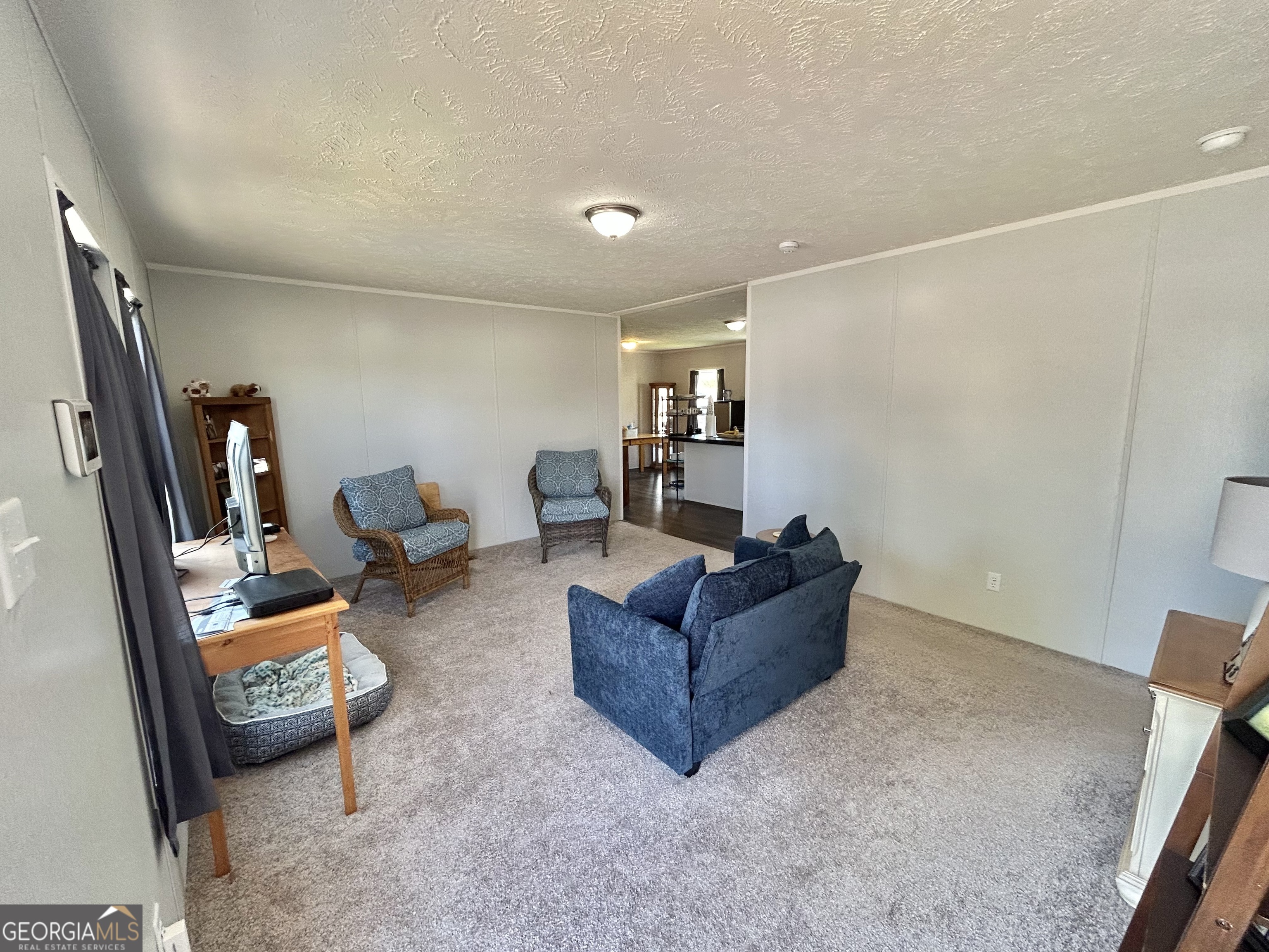 1010 Mize Road Toccoa, GA 30577 - Photo 3 of 32