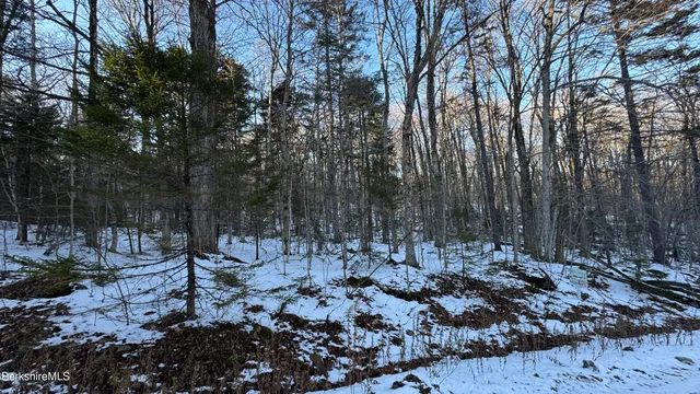 a view of outdoor space and tree