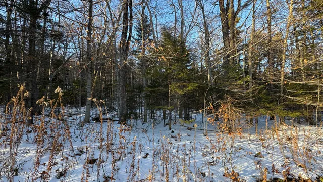 a view of outdoor space with lots of trees