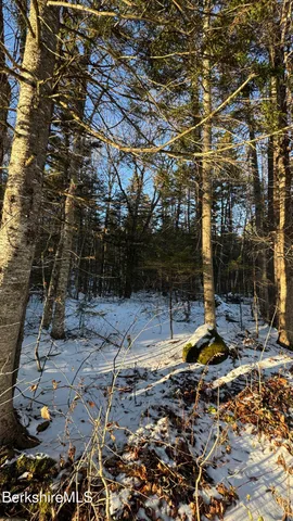 a view of a backyard with trees