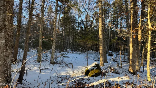 a backyard of a house with lots of green space and outdoor seating