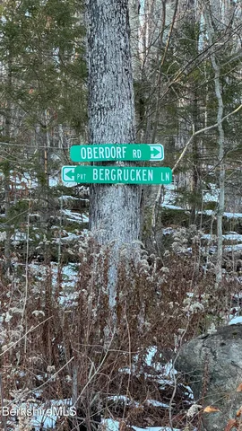 a green field with lots of trees