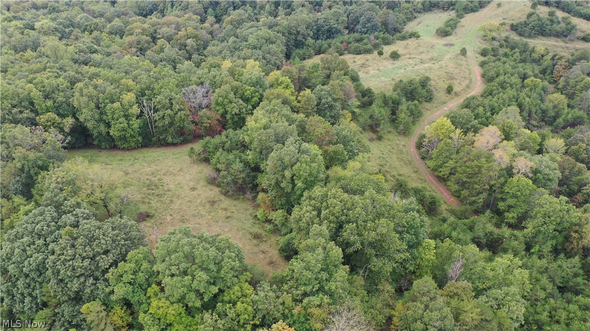 0 Bell Run Road Brohard, WV 26138 - Photo 7 of 30