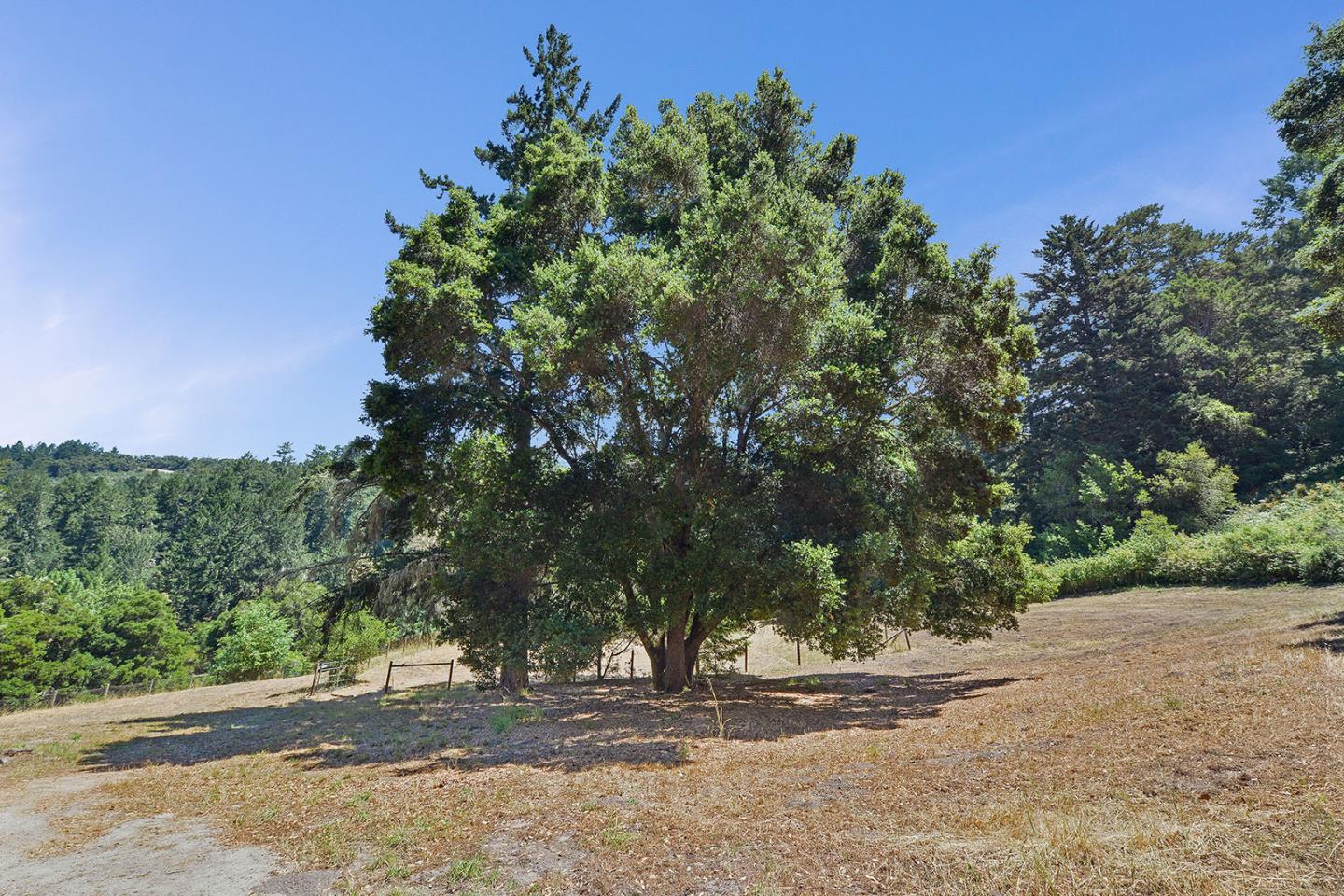 7691 Alpine Road La Honda, CA 94020 - Photo 41 of 50