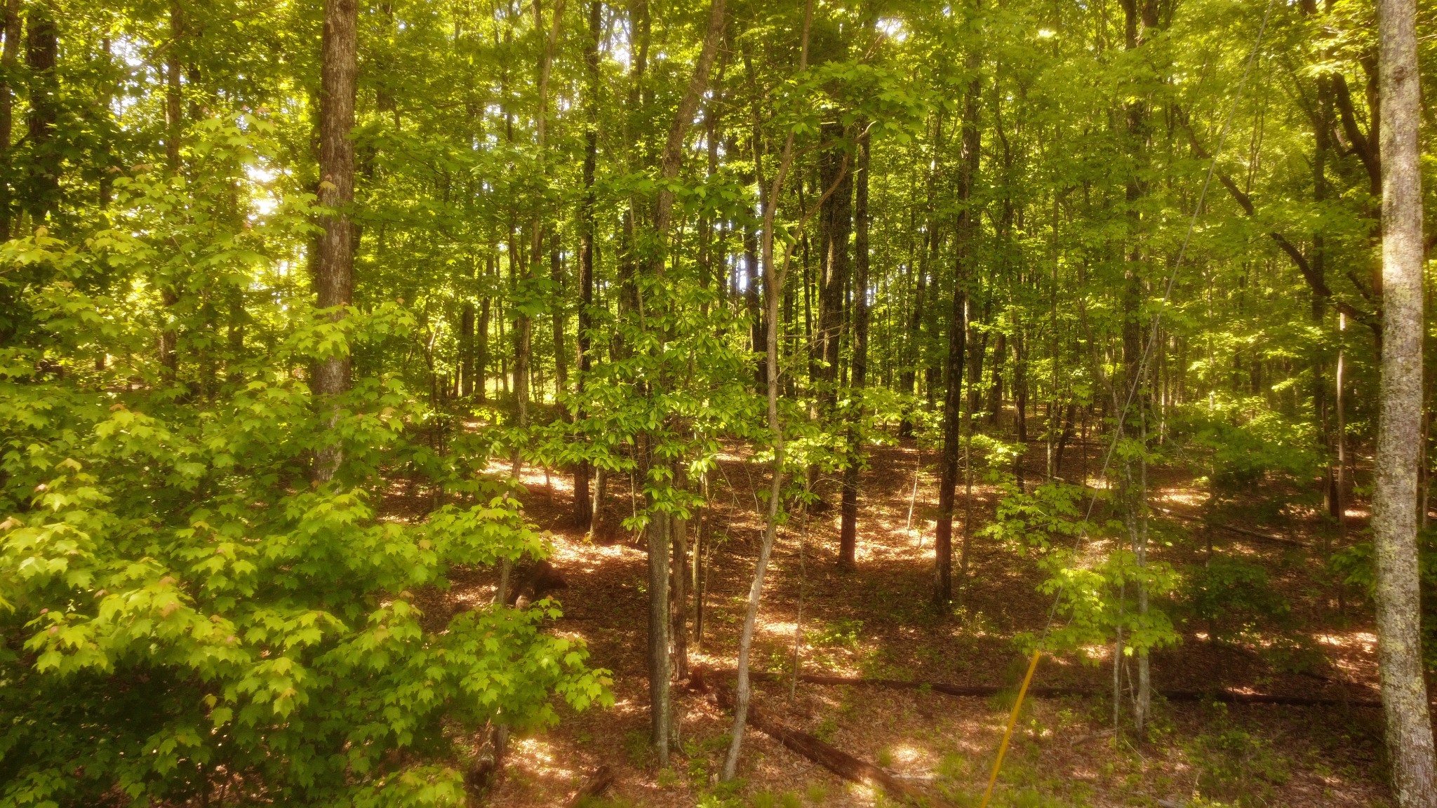 0 Ravens Den Road Sewanee, TN 37375 - Photo 17 of 23