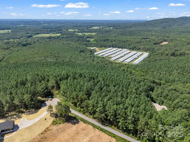 a view of a lush green forest with lots of trees