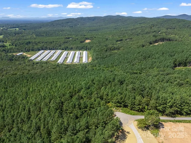 a view of a green field with lots of bushes