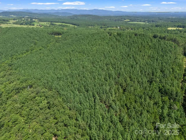 a view of a city with lush green forest