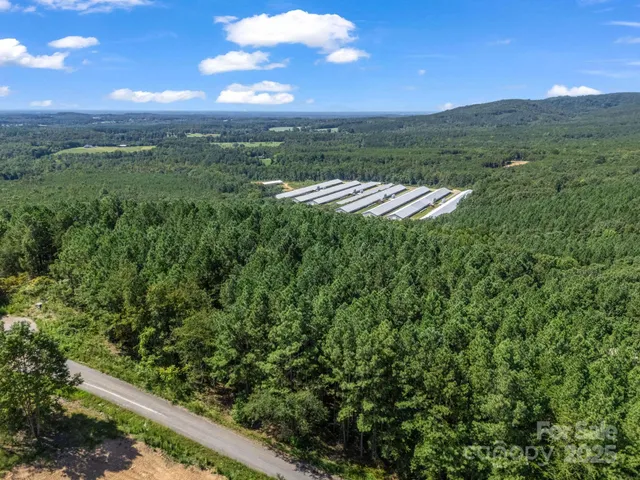 a view of outdoor space and garden