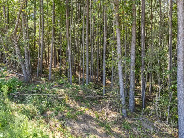 a view of a large yard with lots of bushes
