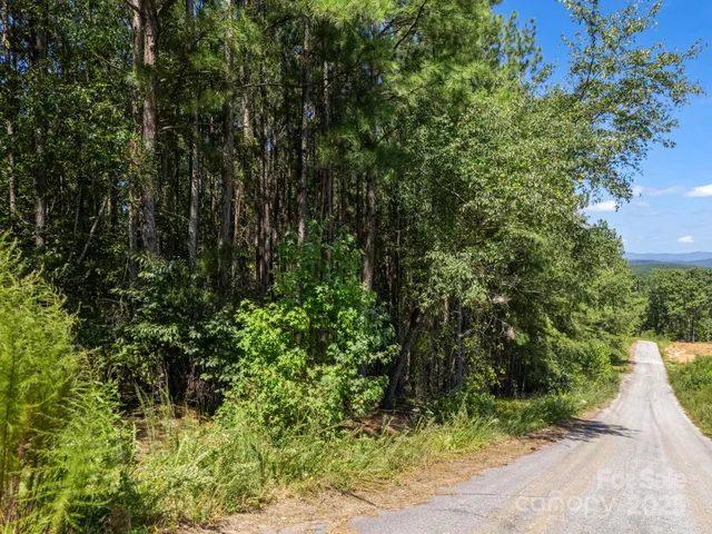 a view of a garden with a lake view
