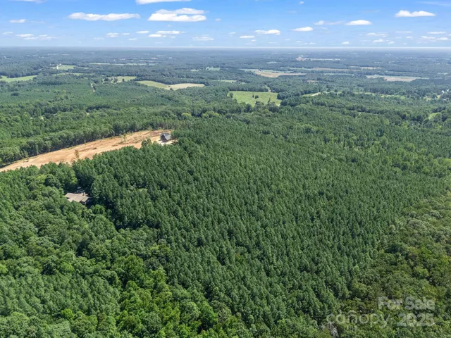 a view of a green field with lots of bushes