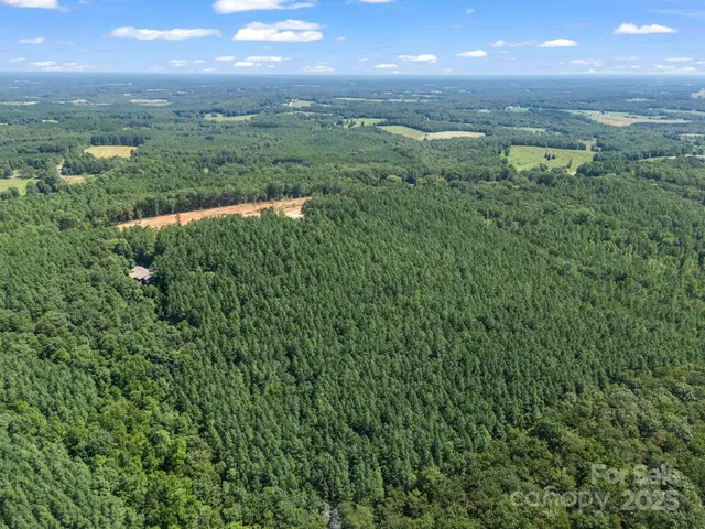 a view of city and green space