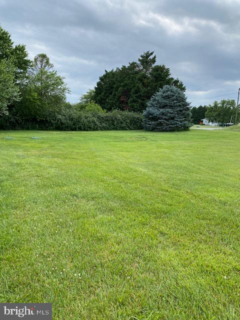 4502 Carpenter Bridge Road Felton, DE 19943 - Photo 21 of 31 Gallery Image 21
