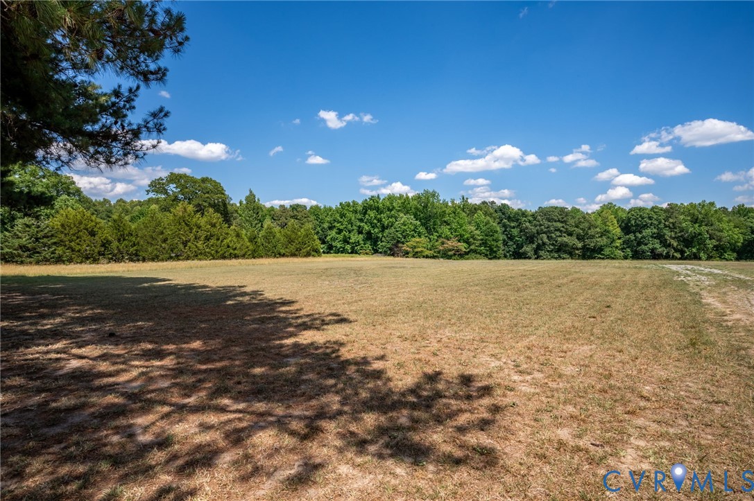 2487 Doyles Lake Road Emporia, VA 23847 - Photo 3 of 18