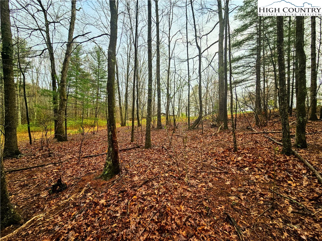 Lot 6 Gentle Ridge Drive Crumpler, NC 28617 - Photo 1 of 8 Gallery Image 1