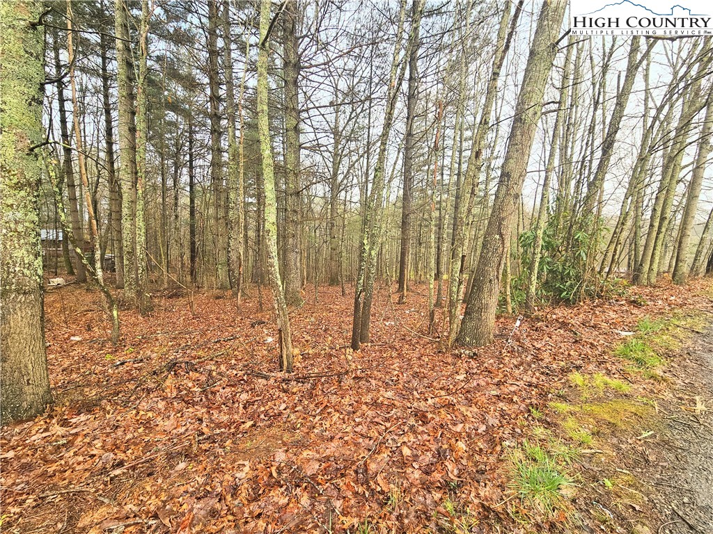 Lot 6 Gentle Ridge Drive Crumpler, NC 28617 - Photo 2 of 8 Gallery Image 2