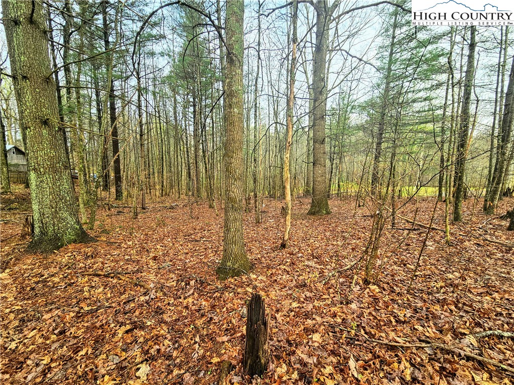 Lot 6 Gentle Ridge Drive Crumpler, NC 28617 - Photo 3 of 8 Gallery Image 3