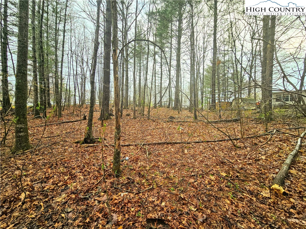 Lot 6 Gentle Ridge Drive Crumpler, NC 28617 - Photo 4 of 8 Gallery Image 4