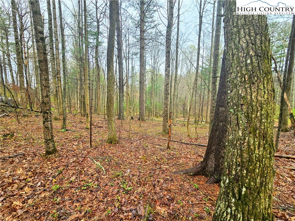 Lot 6 Gentle Ridge Drive Crumpler, NC 28617 - Photo 5 of 8 Gallery Image 5