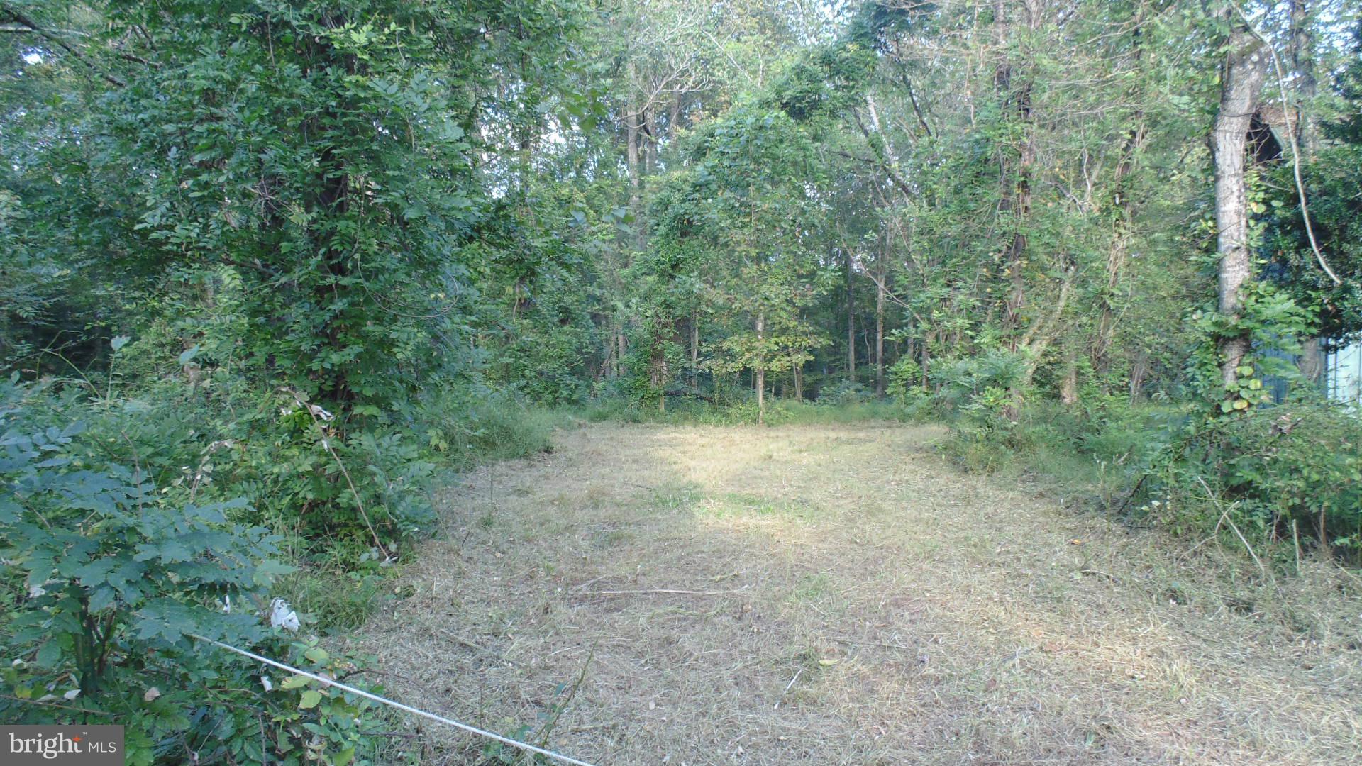 8050 Leeds Manor Road Marshall, VA 20115 - Photo 1 of 4 Exterior (General)