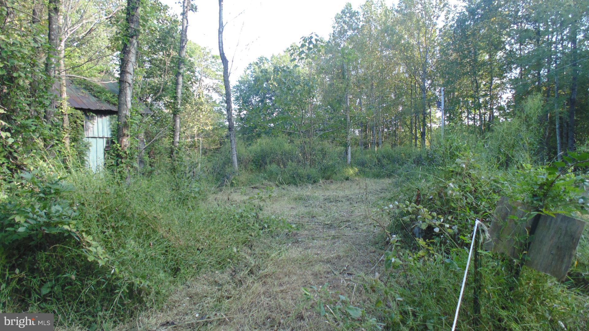 8050 Leeds Manor Road Marshall, VA 20115 - Photo 2 of 4 Exterior (General)