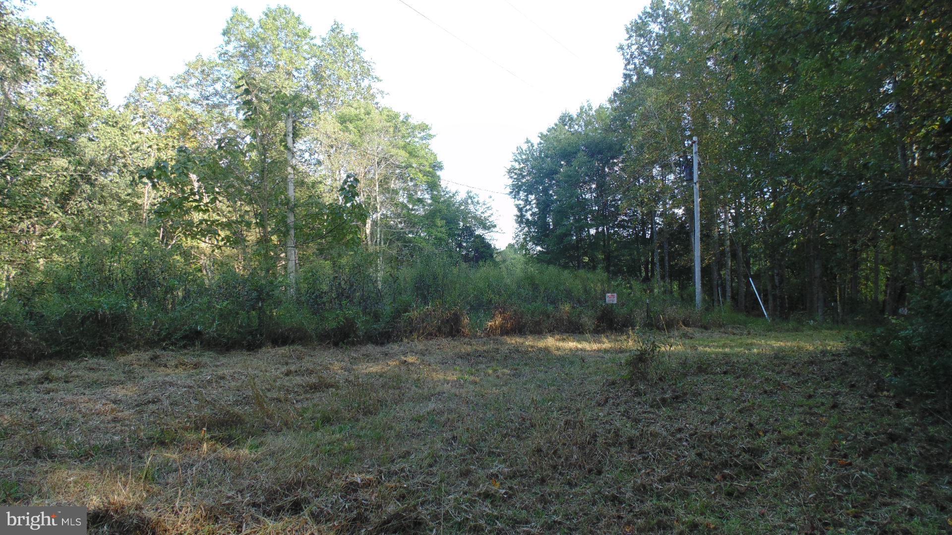 8050 Leeds Manor Road Marshall, VA 20115 - Photo 3 of 4 Exterior (General)