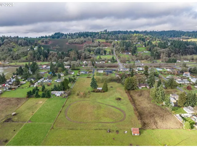 an aerial view of residential houses with outdoor space and trees