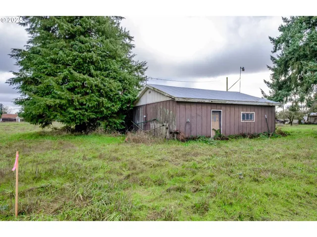 a view of a backyard with potted plants and large tree